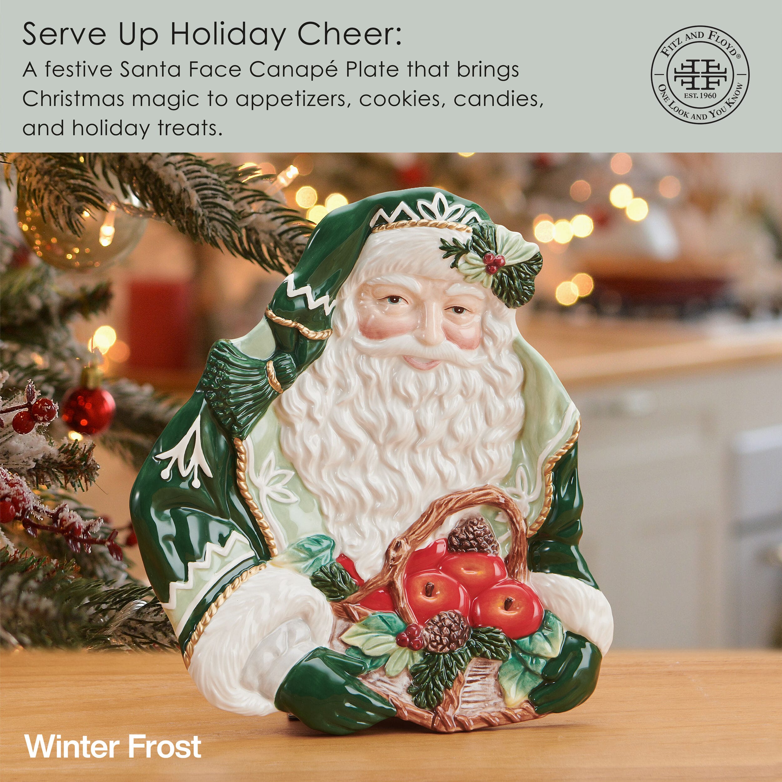 Winter Frost Santa Figural Appetizer Snack Plate