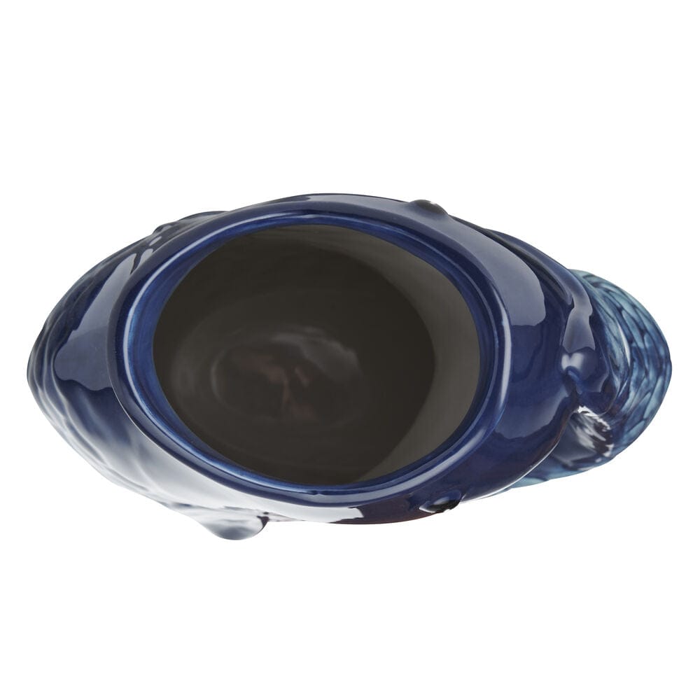 Coastal Blue Fin Pitcher