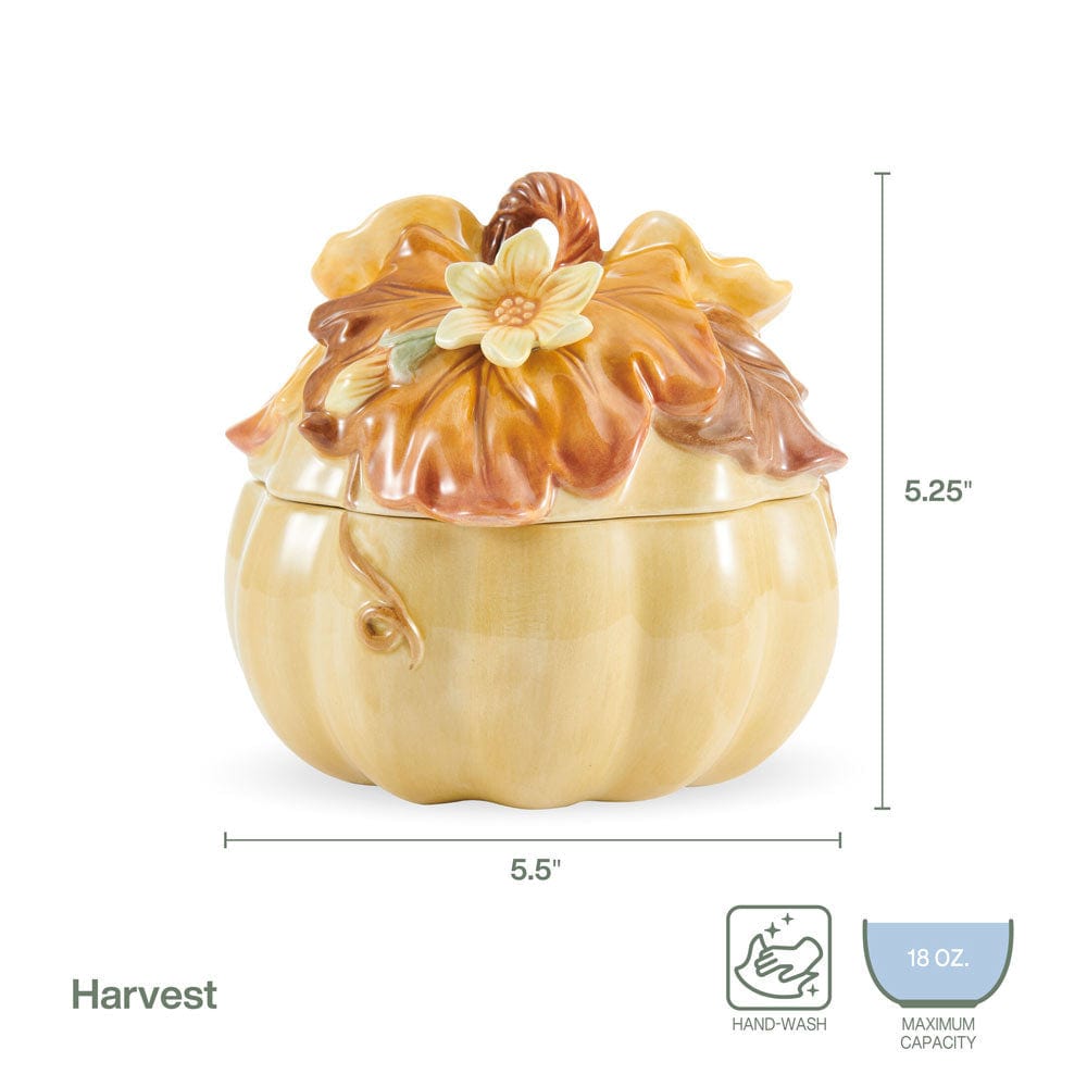 Harvest Pumpkin Soup Bowl with Lid